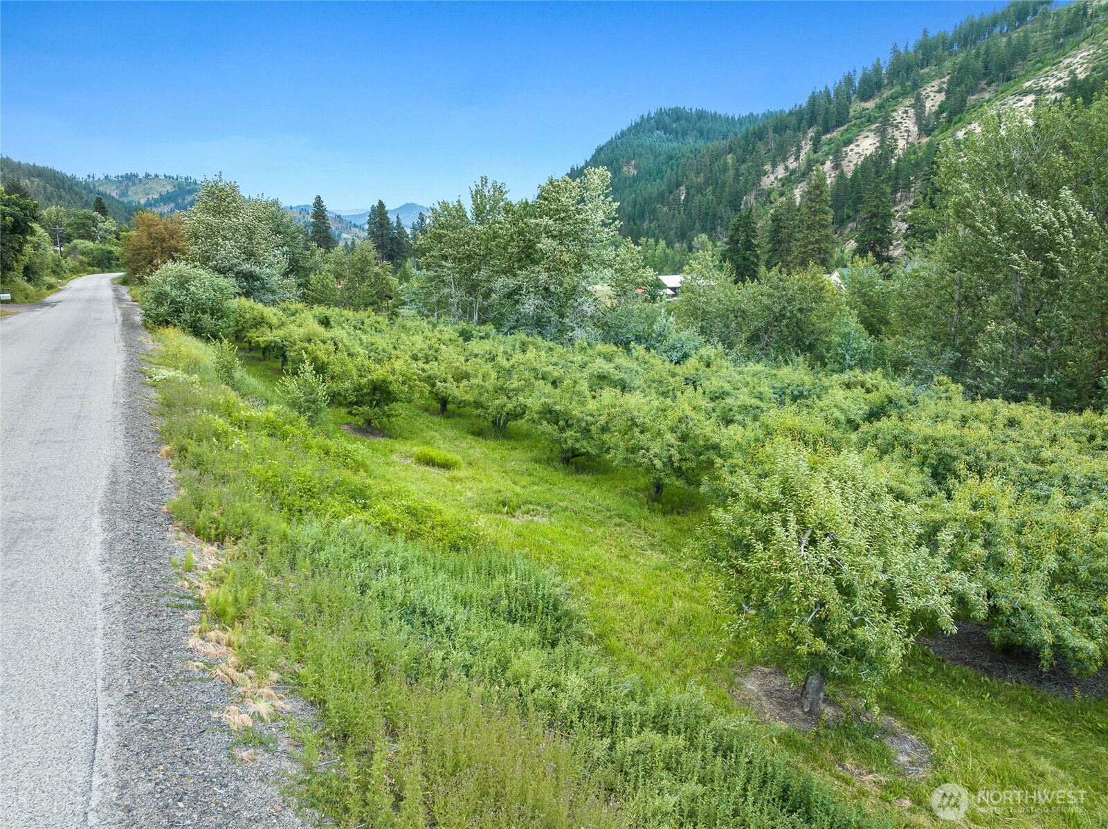 5969 Campbell Road Peshastin, WA 98847 - Photo 2 of 14