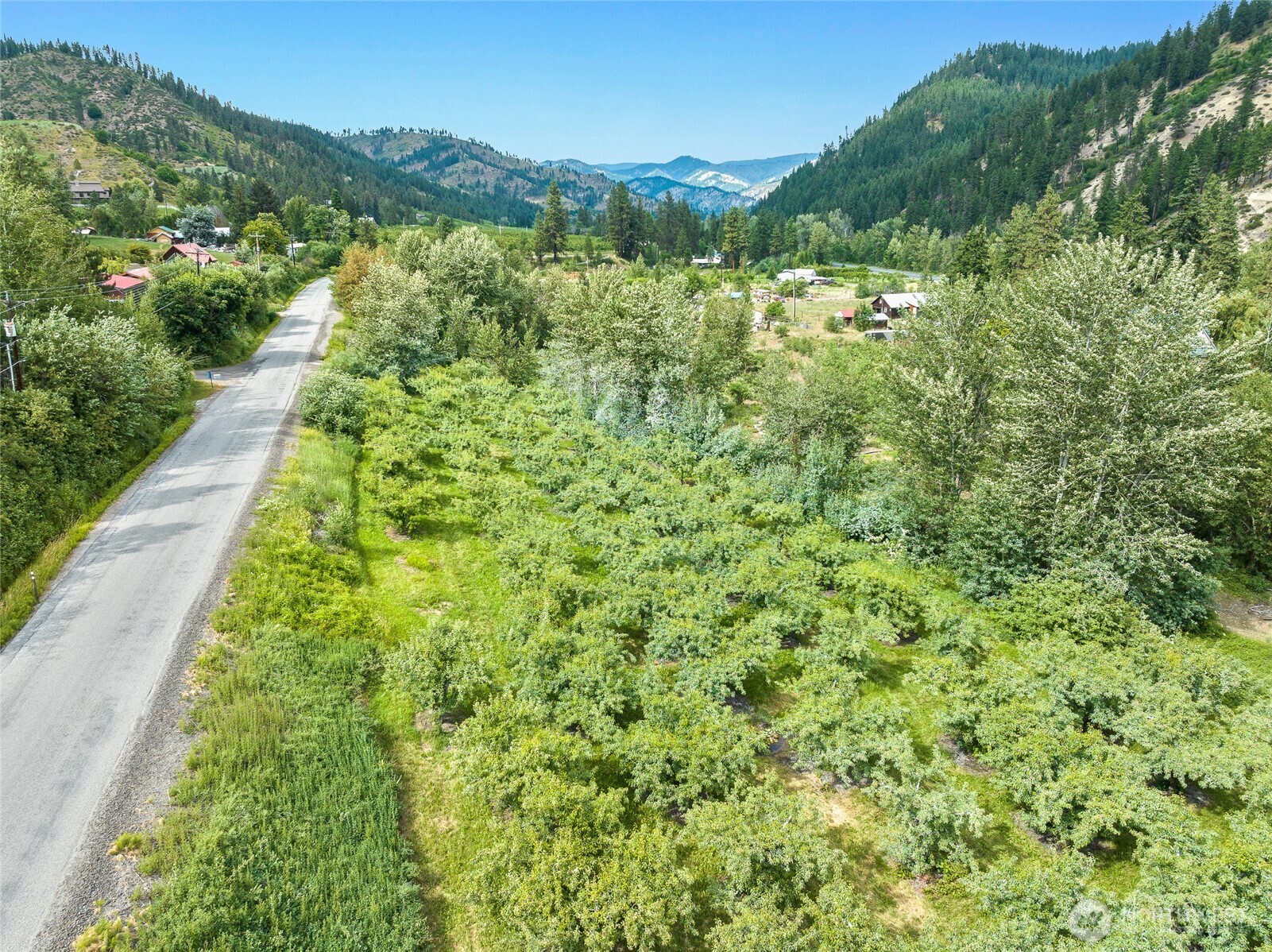 5969 Campbell Road Peshastin, WA 98847 - Photo 3 of 14