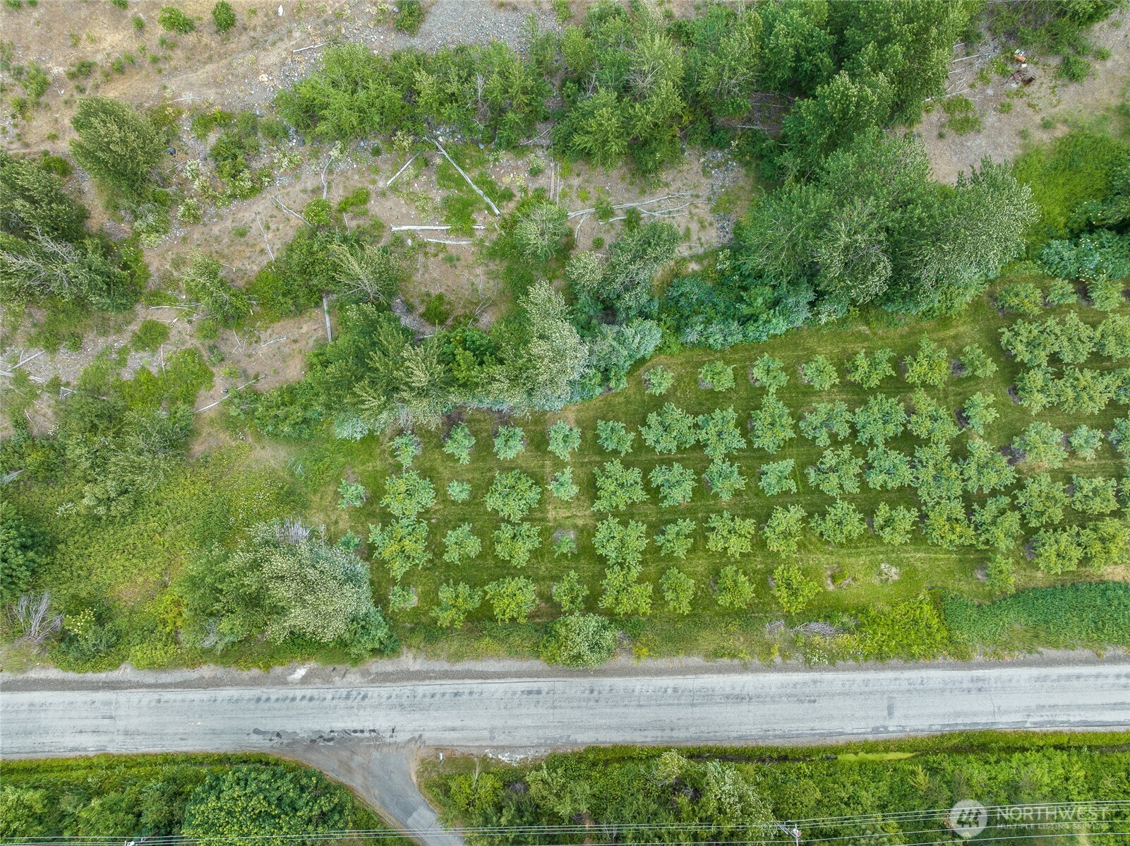 5969 Campbell Road Peshastin, WA 98847 - Photo 6 of 14