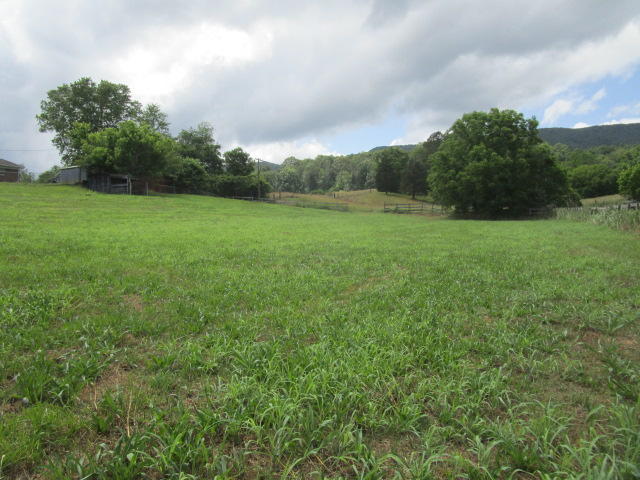 Blaine Chapel Road Rutledge, TN 37861 - Photo 1 of 5 IMG_2456