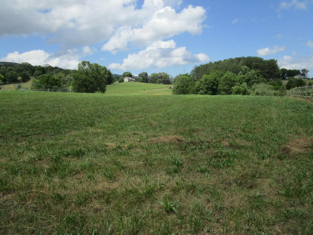 Blaine Chapel Road Rutledge, TN 37861 - Photo 5 of 5 IMG_2460