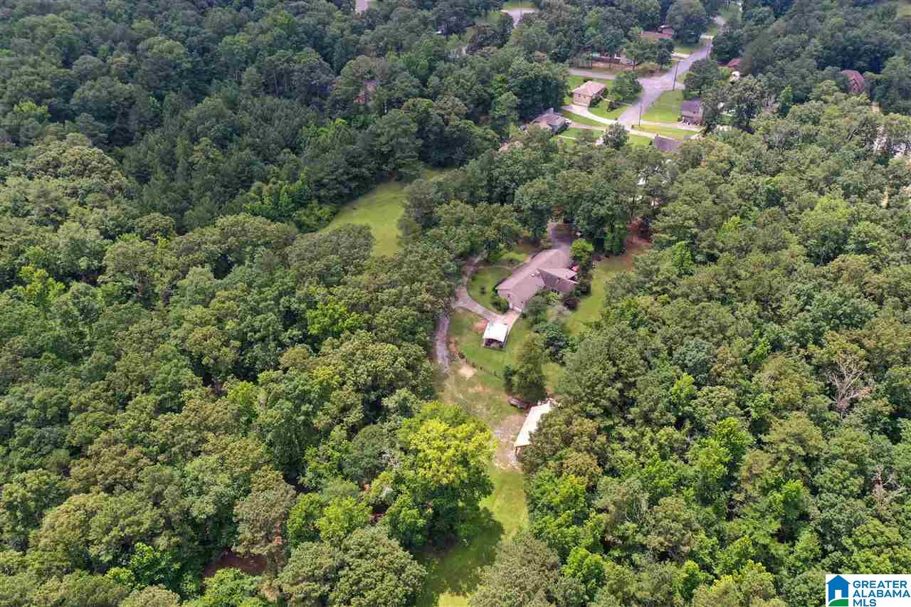 137 Old Spanish Trail Alabaster, AL 35007 - Photo 48 of 50