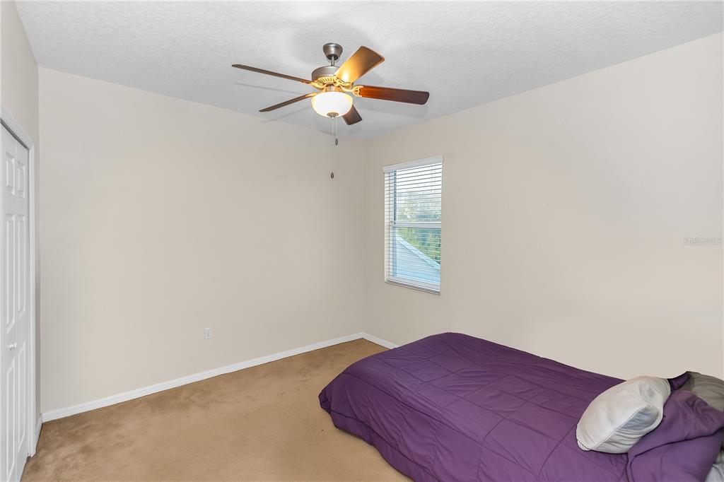 3301 Bethpage Loop Mount Dora, FL 32757 - Photo 38 of 38