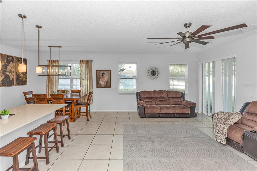 3301 Bethpage Loop Mount Dora, FL 32757 - Photo 4 of 38