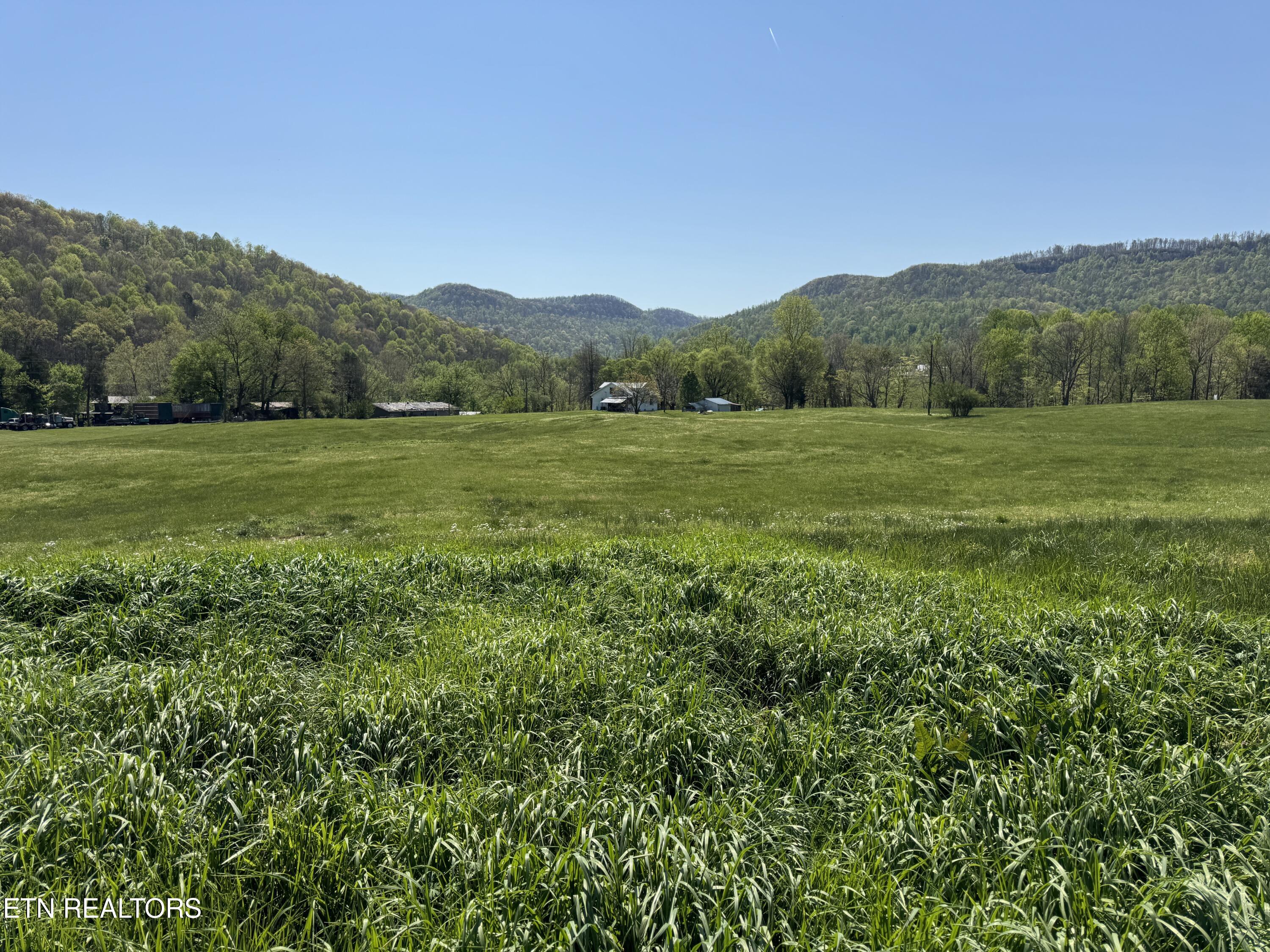 112 Shiloh Road Allred, TN 38542 - Photo 47 of 60 IMG_6804