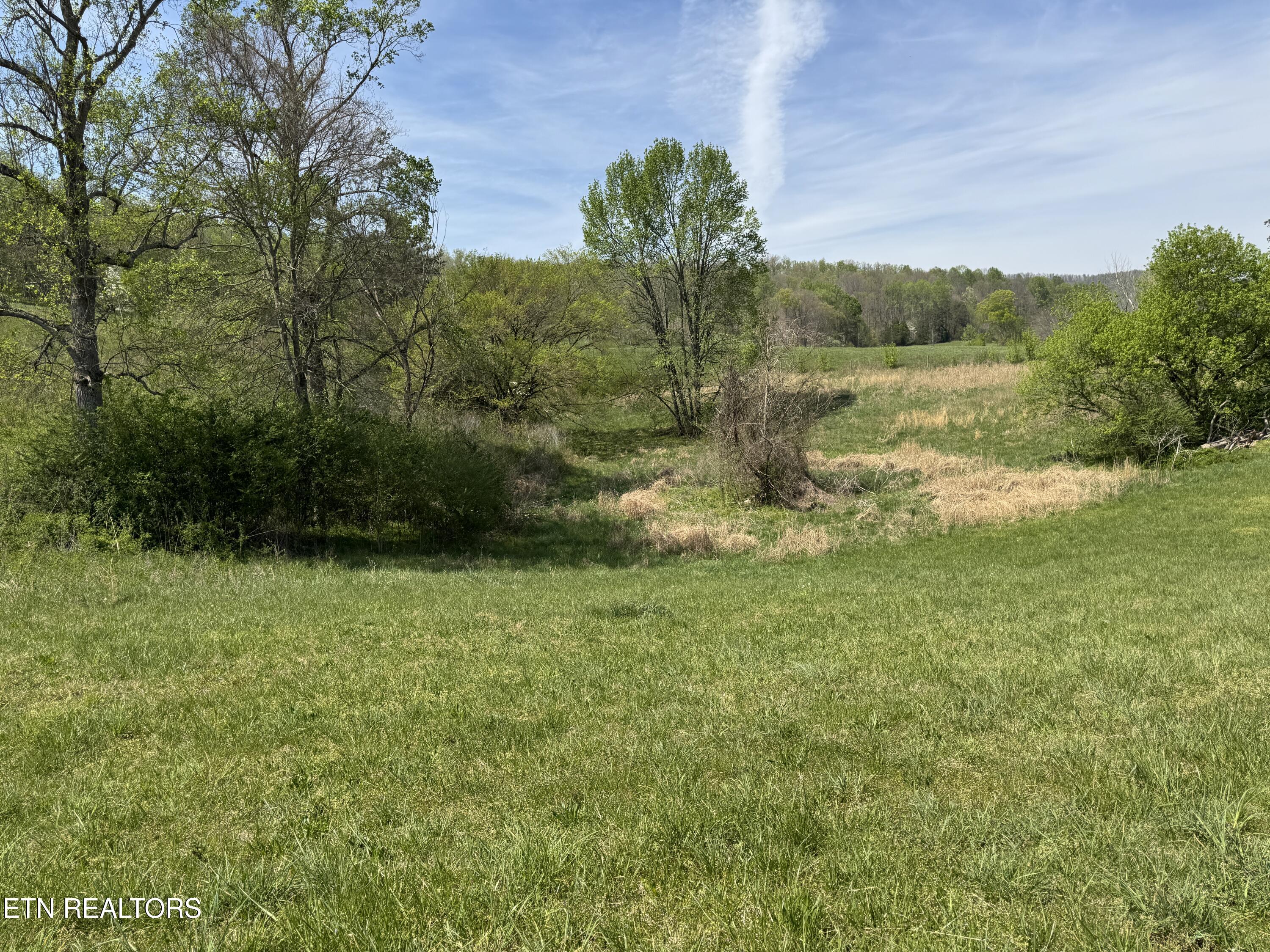 112 Shiloh Road Allred, TN 38542 - Photo 48 of 60 IMG_6787