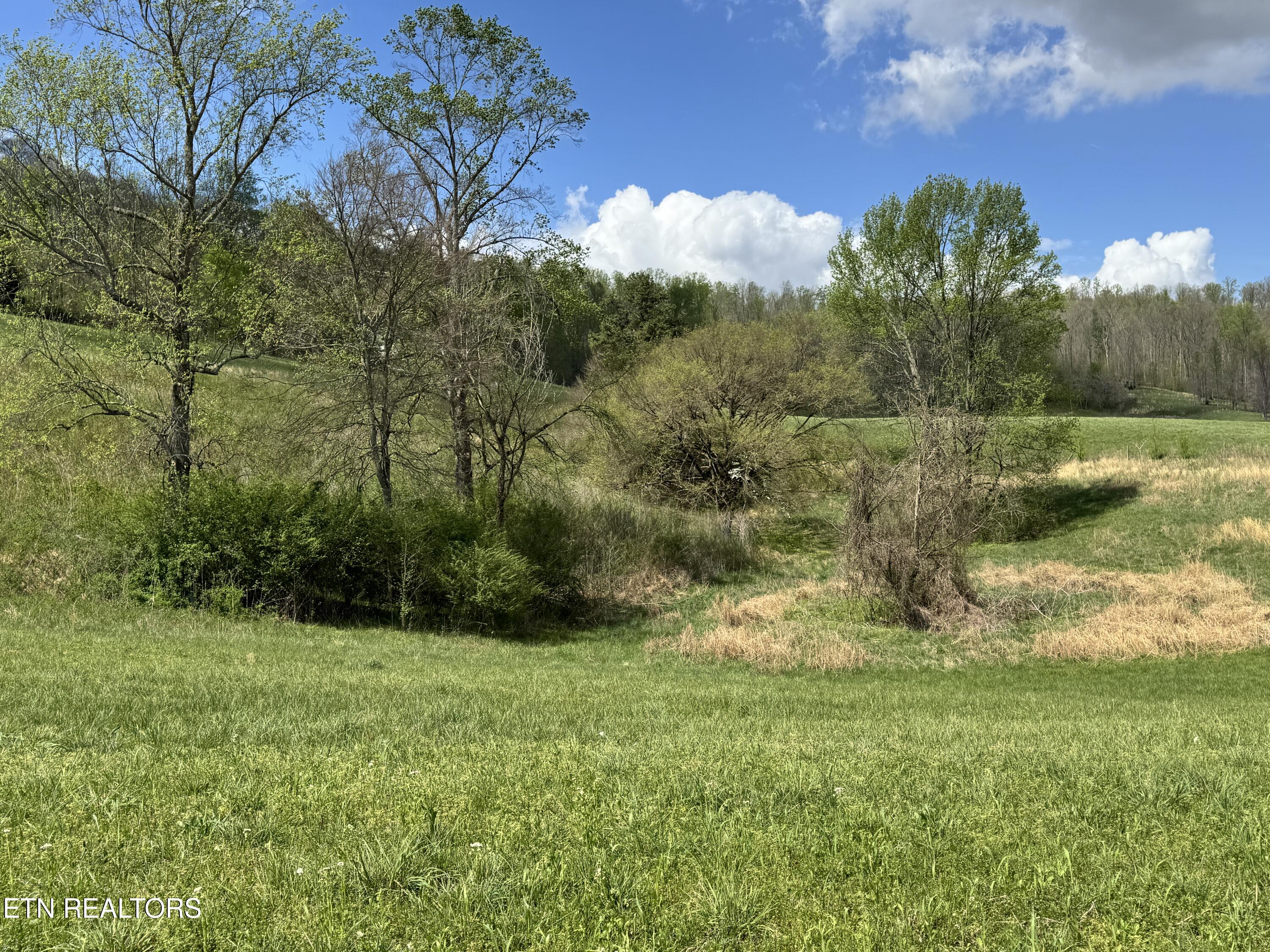 112 Shiloh Road Allred, TN 38542 - Photo 55 of 60 IMG_6716