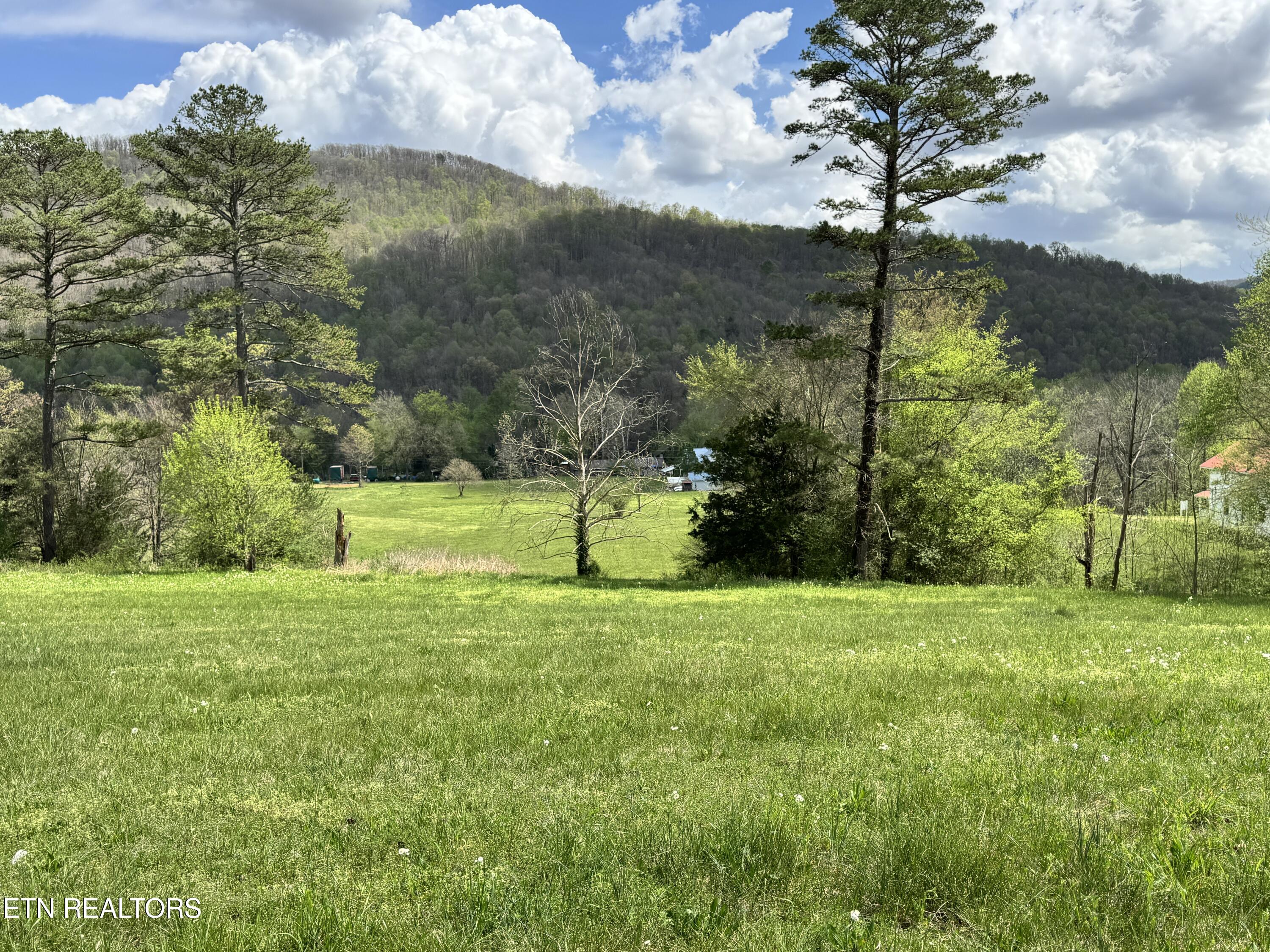 112 Shiloh Road Allred, TN 38542 - Photo 56 of 60 IMG_6715