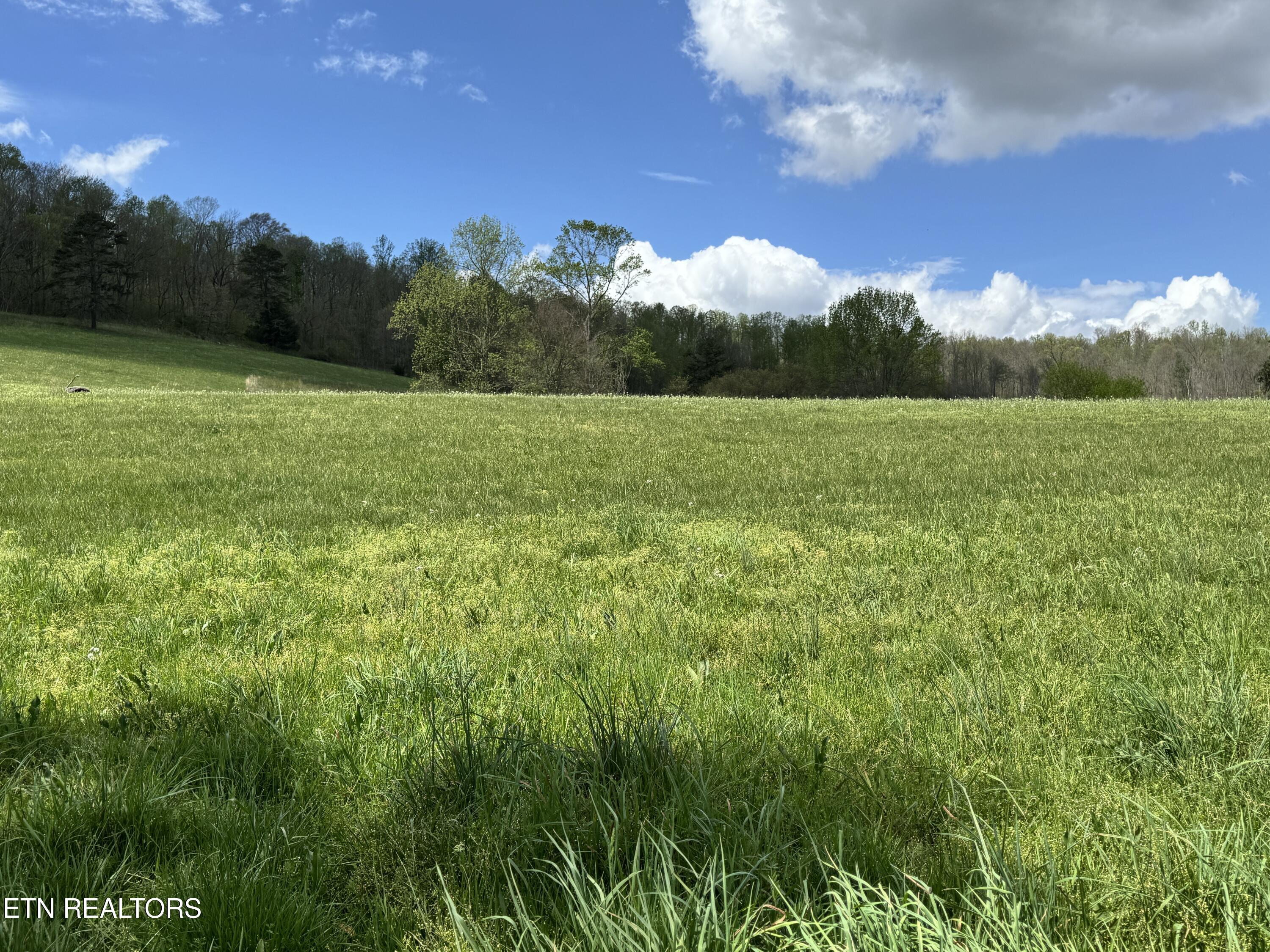 112 Shiloh Road Allred, TN 38542 - Photo 57 of 60 IMG_6712