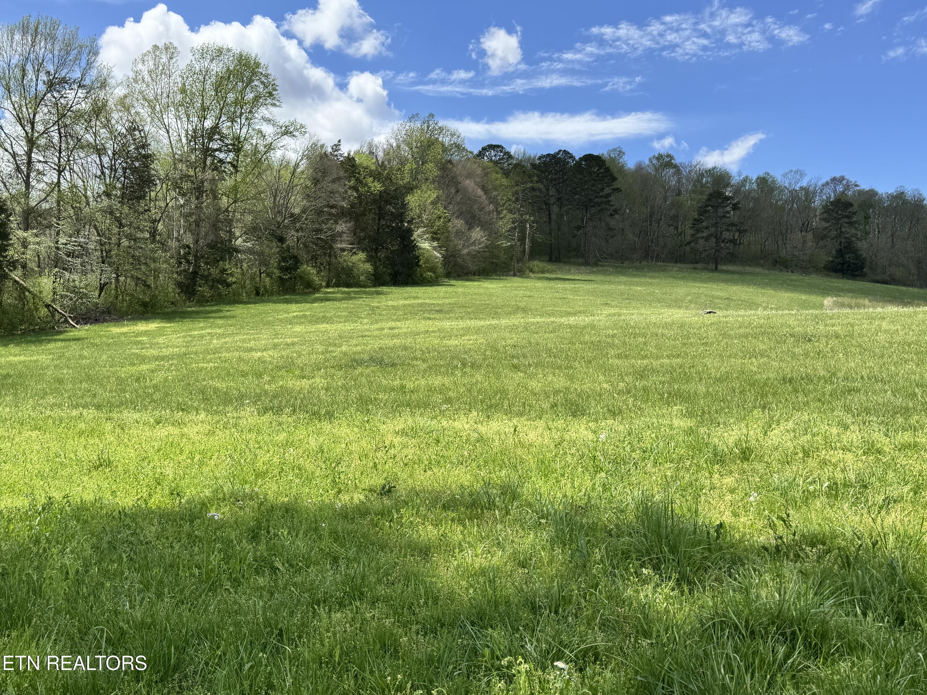 112 Shiloh Road Allred, TN 38542 - Photo 58 of 60 IMG_6711