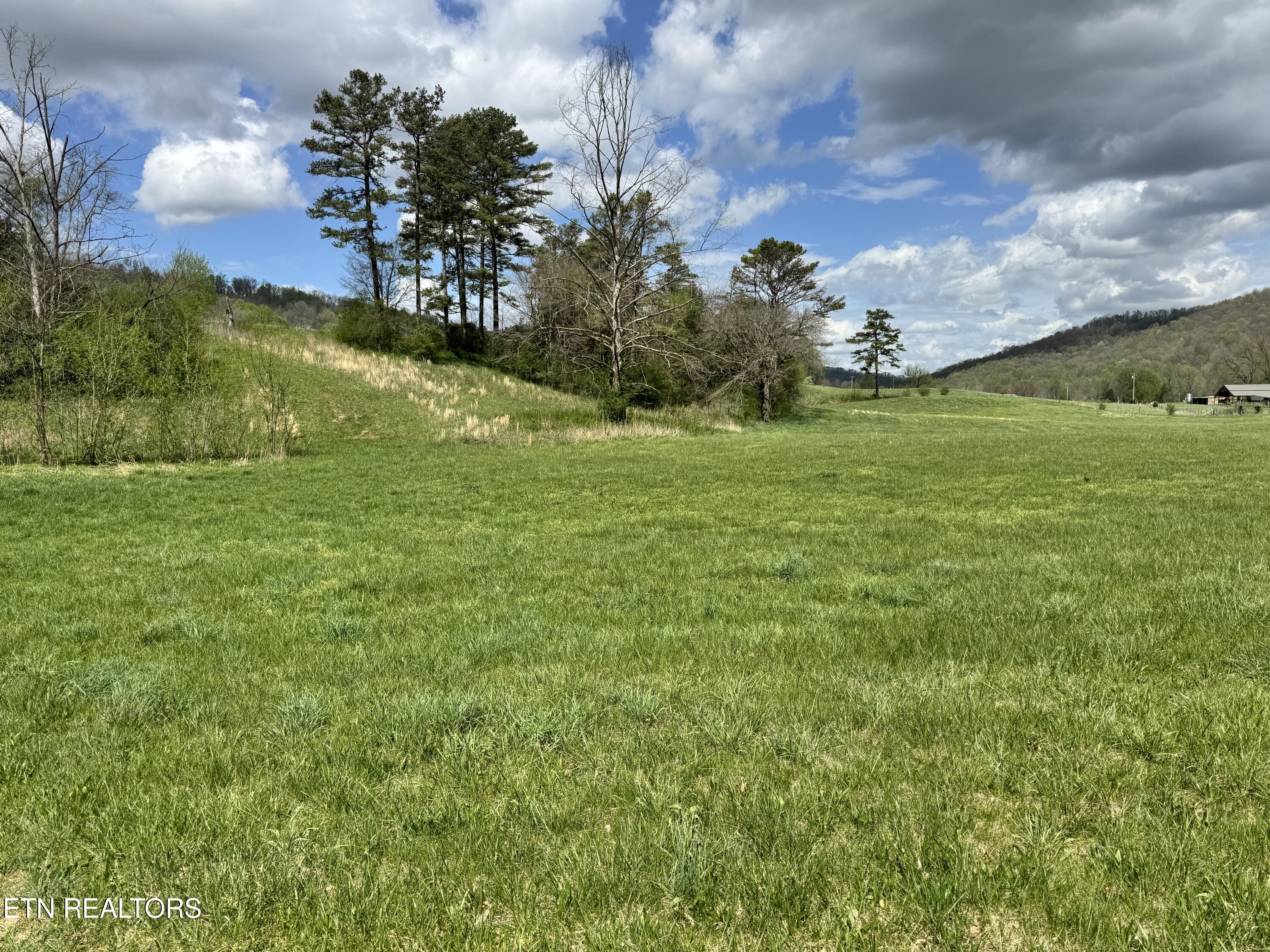 112 Shiloh Road Allred, TN 38542 - Photo 59 of 60 IMG_6708