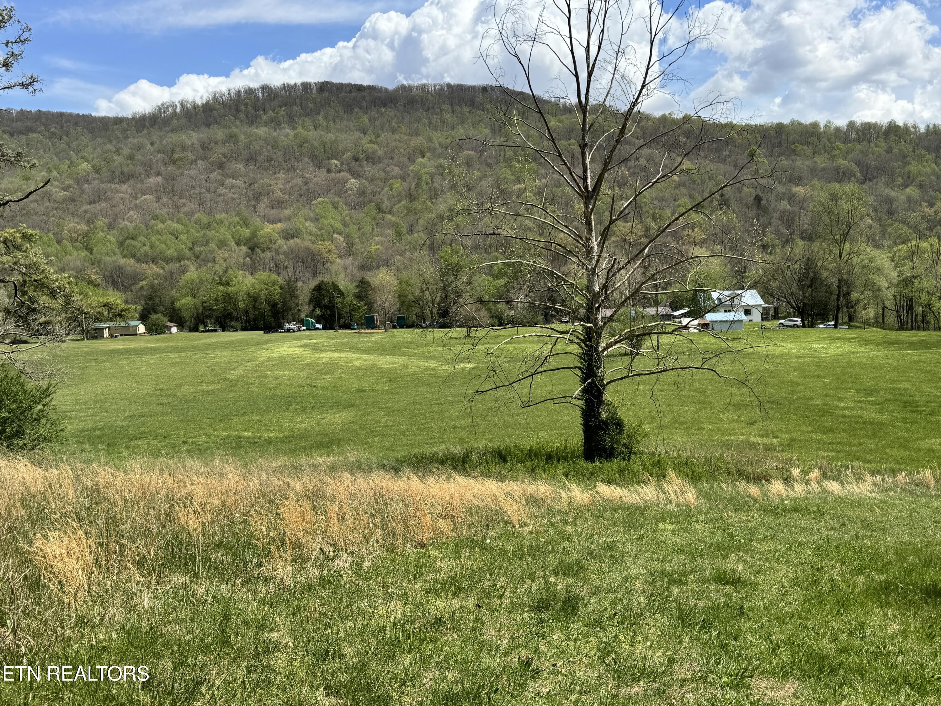 112 Shiloh Road Allred, TN 38542 - Photo 9 of 60 IMG_6710