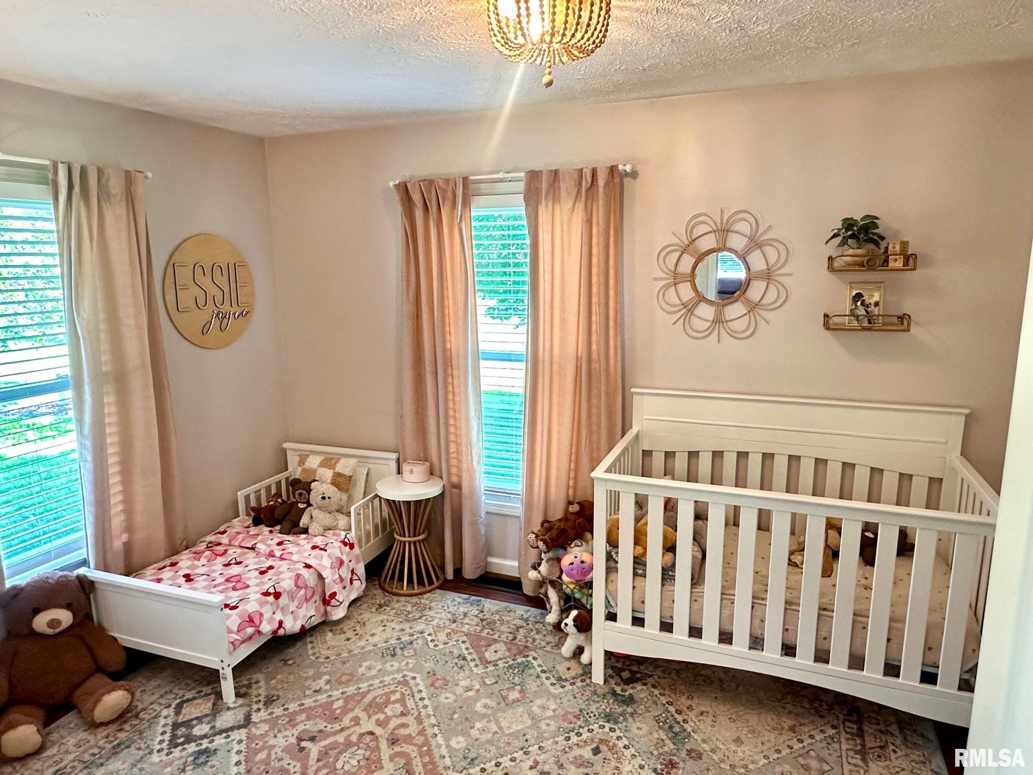 2900 Old State Road Alexander, IL 62601 - Photo 23 of 38