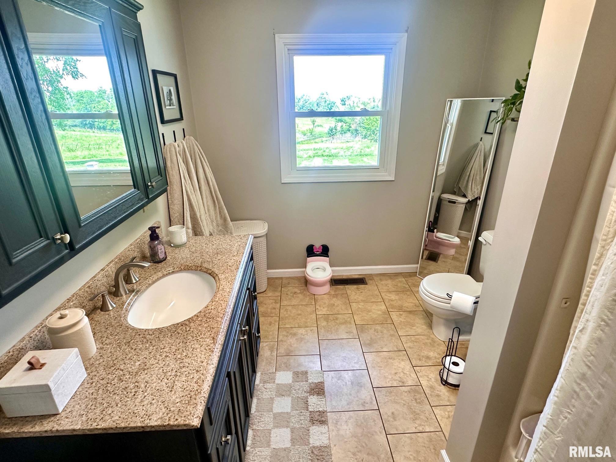 2900 Old State Road Alexander, IL 62601 - Photo 26 of 38