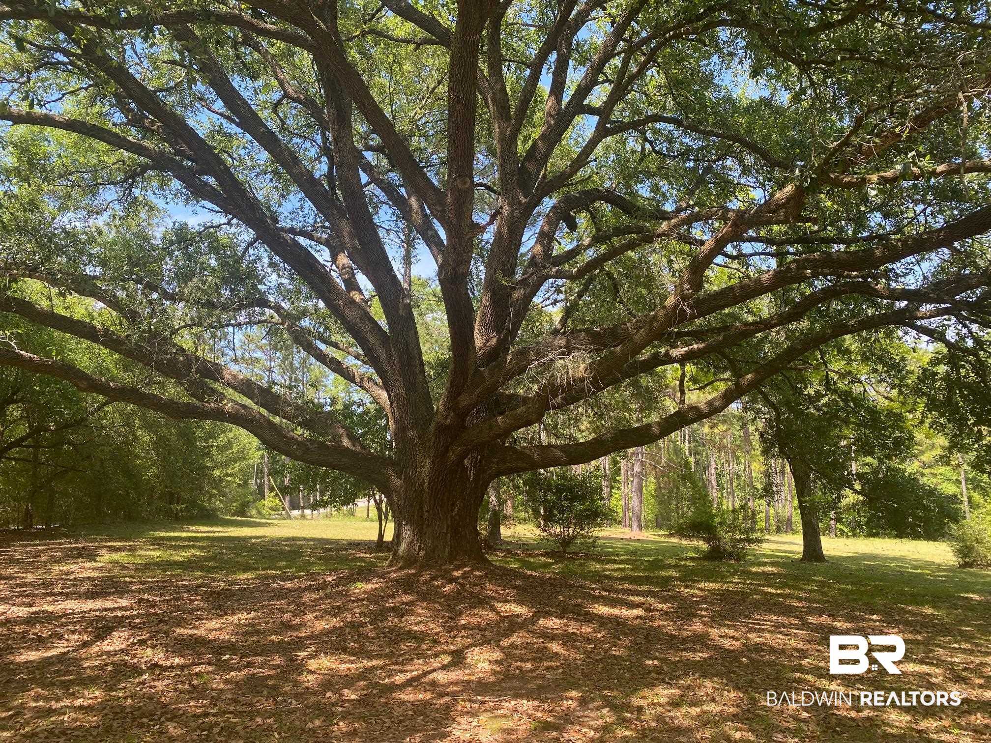 51012 Rabun Road Bay Minette, AL 36507 - Photo 5 of 7 Gallery Image 5