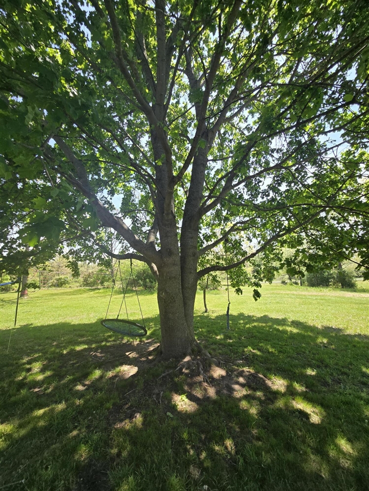 12495 5 Mile Road Evart, MI 49631 - Photo 45 of 75