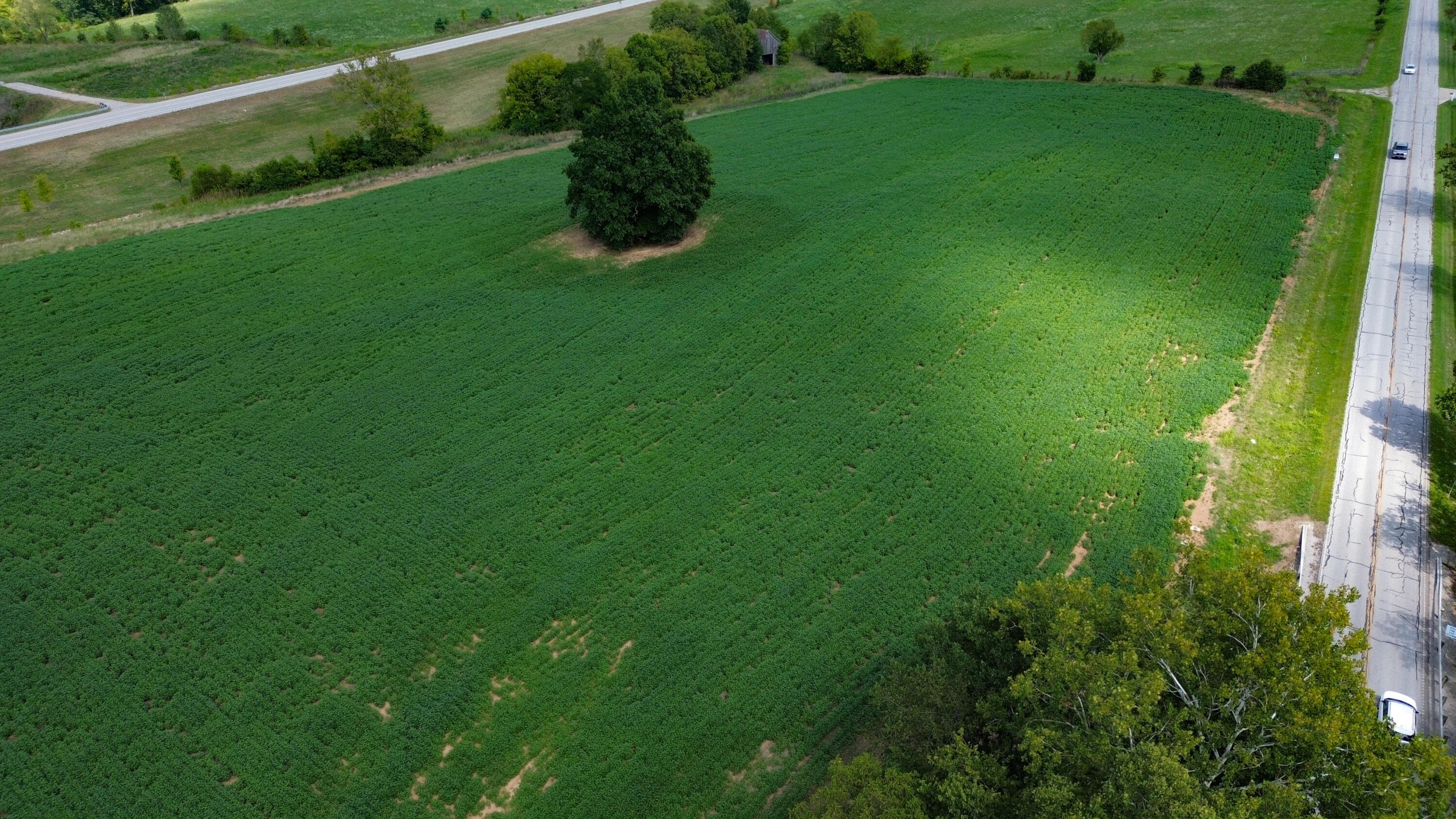 0 Concrete Road Carlisle, KY 40311 - Photo 17 of 18 concrete02