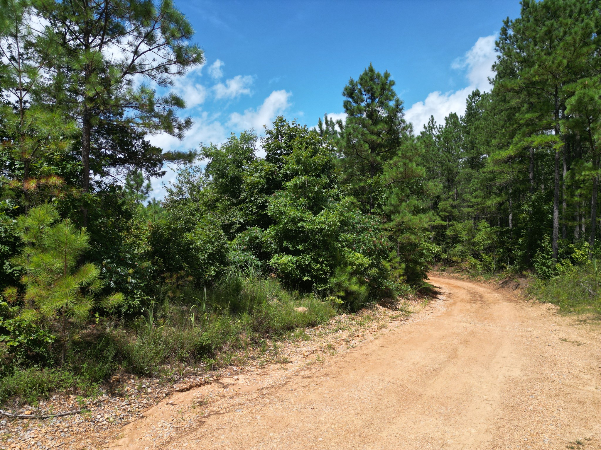 0 Seiber Ridge Road Hohenwald, TN 38462 - Photo 4 of 13 a backyard of a house with lots of green space