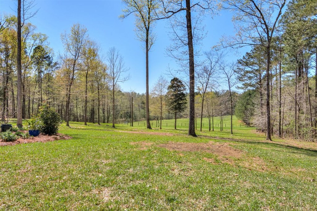 3822 Skull Shoals Road Washington, GA 30673 - Photo 36 of 75