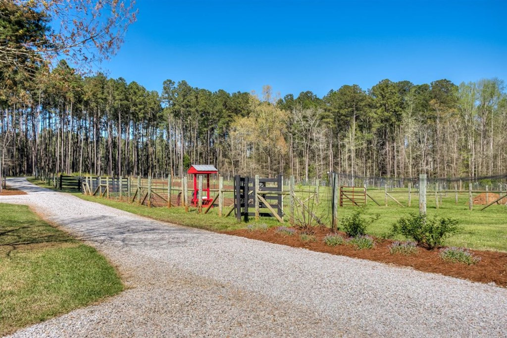 3822 Skull Shoals Road Washington, GA 30673 - Photo 65 of 75