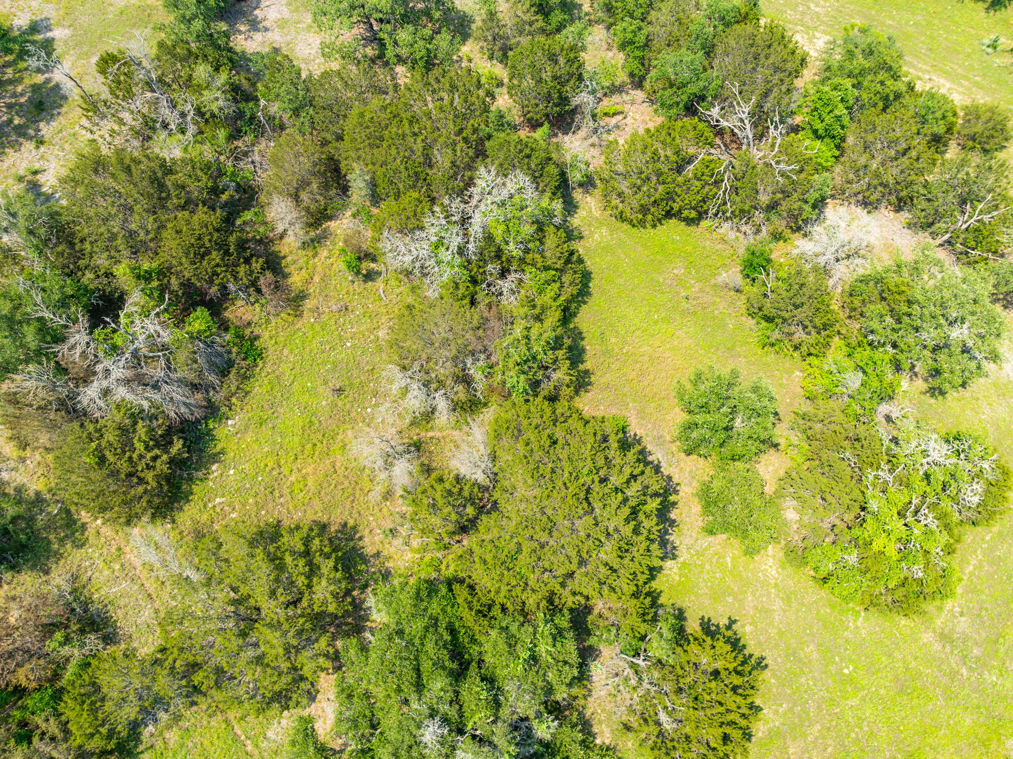 Tbd Tbd Pitchfork Ranch Road Copperas Cove, TX 76522 - Photo 21 of 35 a view of a big yard