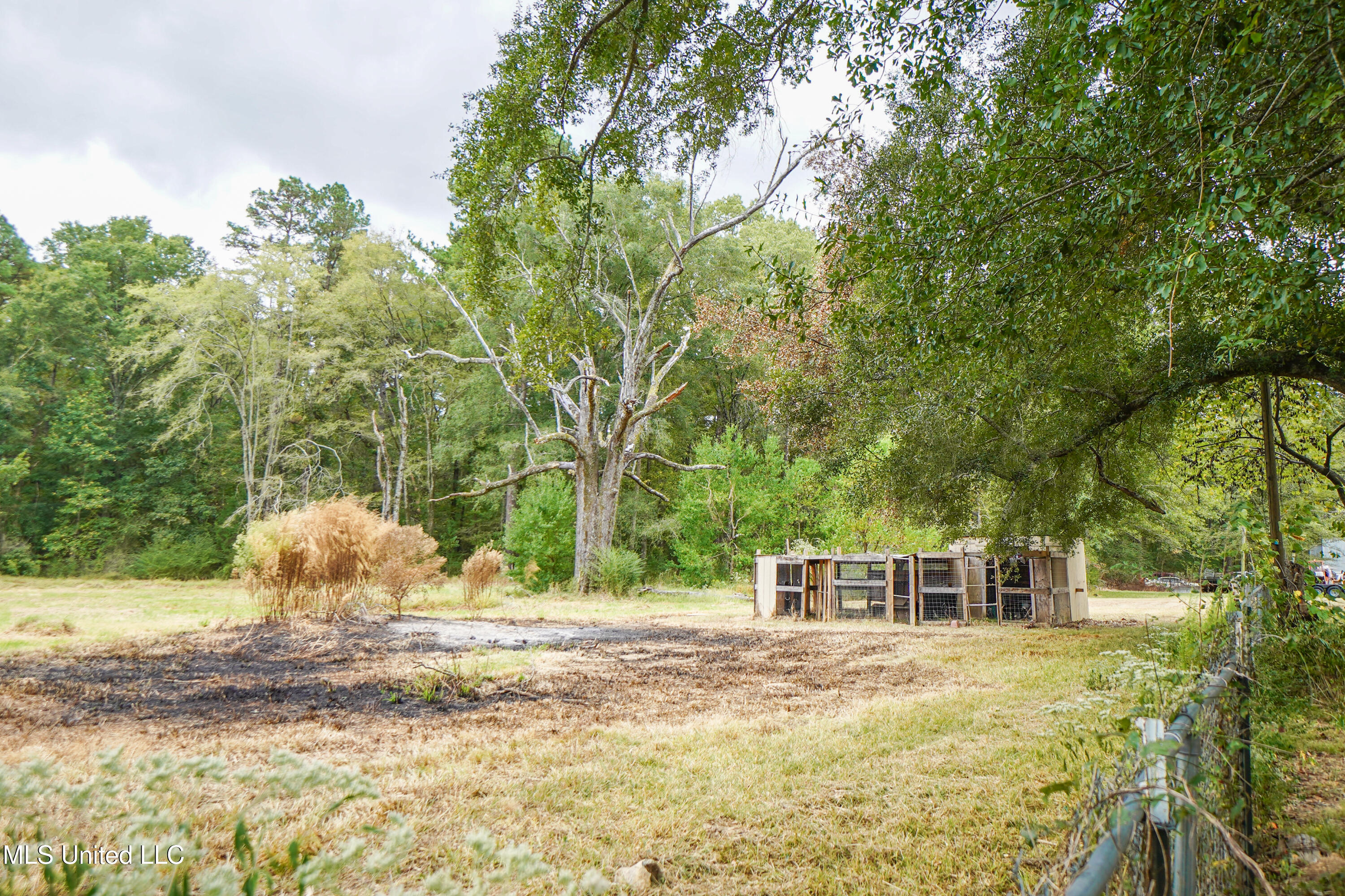 2723 Davis Road Byram, MS 39170 - Photo 17 of 19 DSC01346