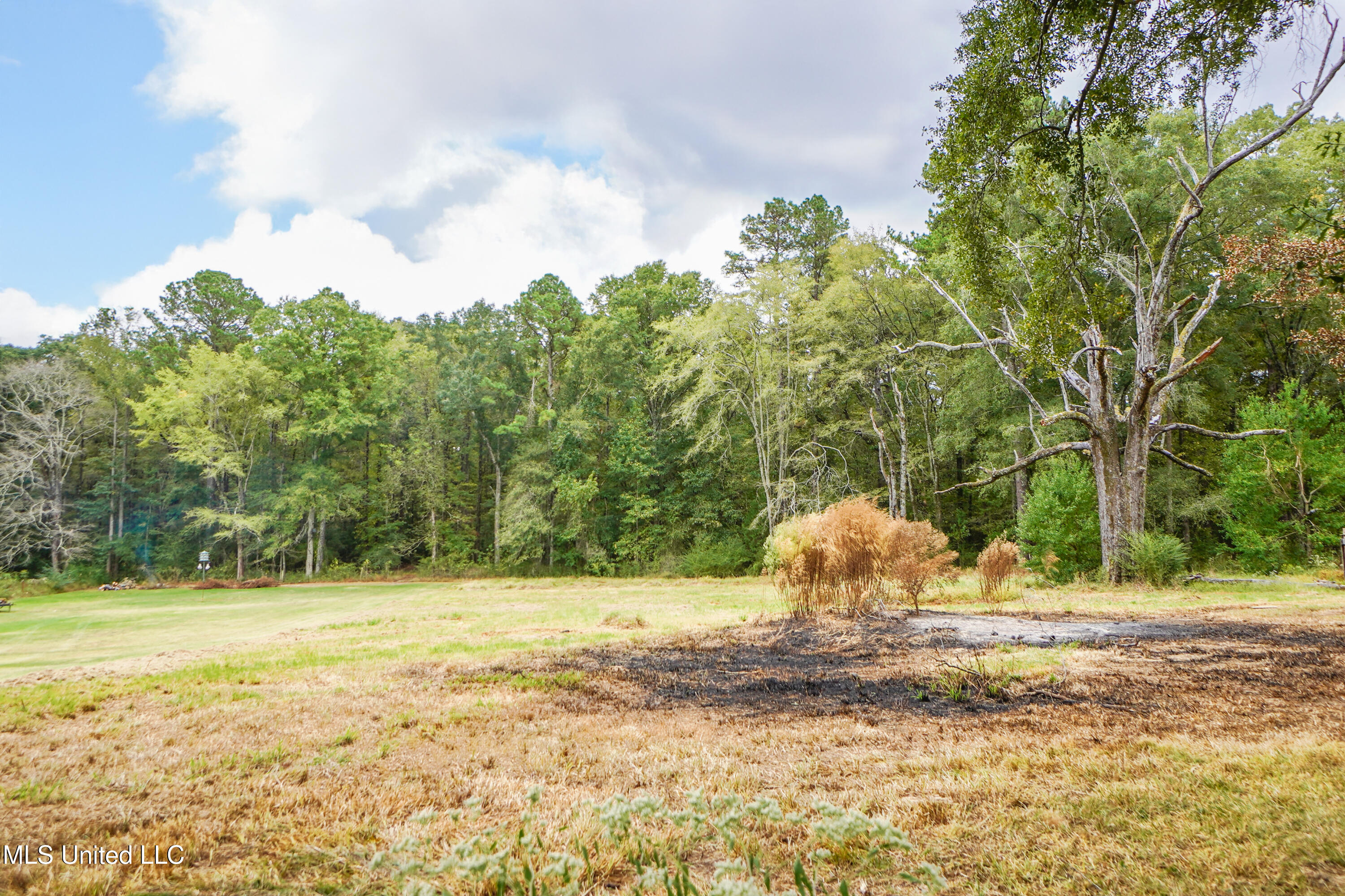 2723 Davis Road Byram, MS 39170 - Photo 18 of 19 DSC01345