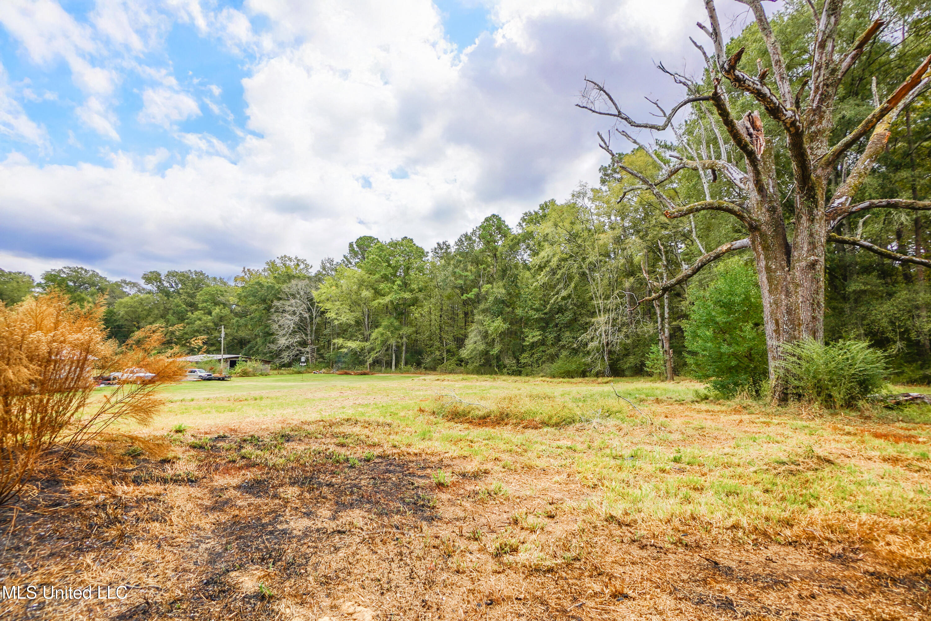 2723 Davis Road Byram, MS 39170 - Photo 19 of 19 DSC01352