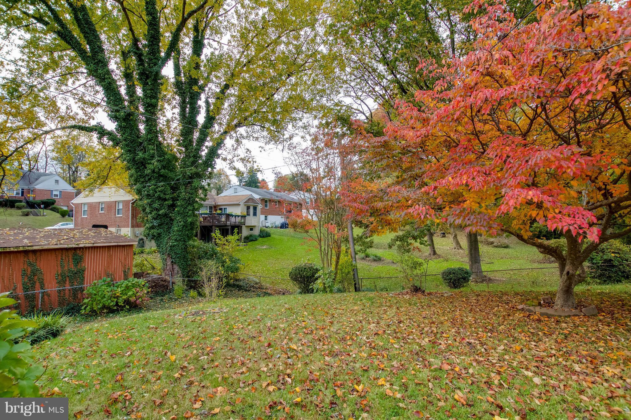 6804 Queens Ferry Road Baltimore, MD 21239 - Photo 28 of 30 Backyard