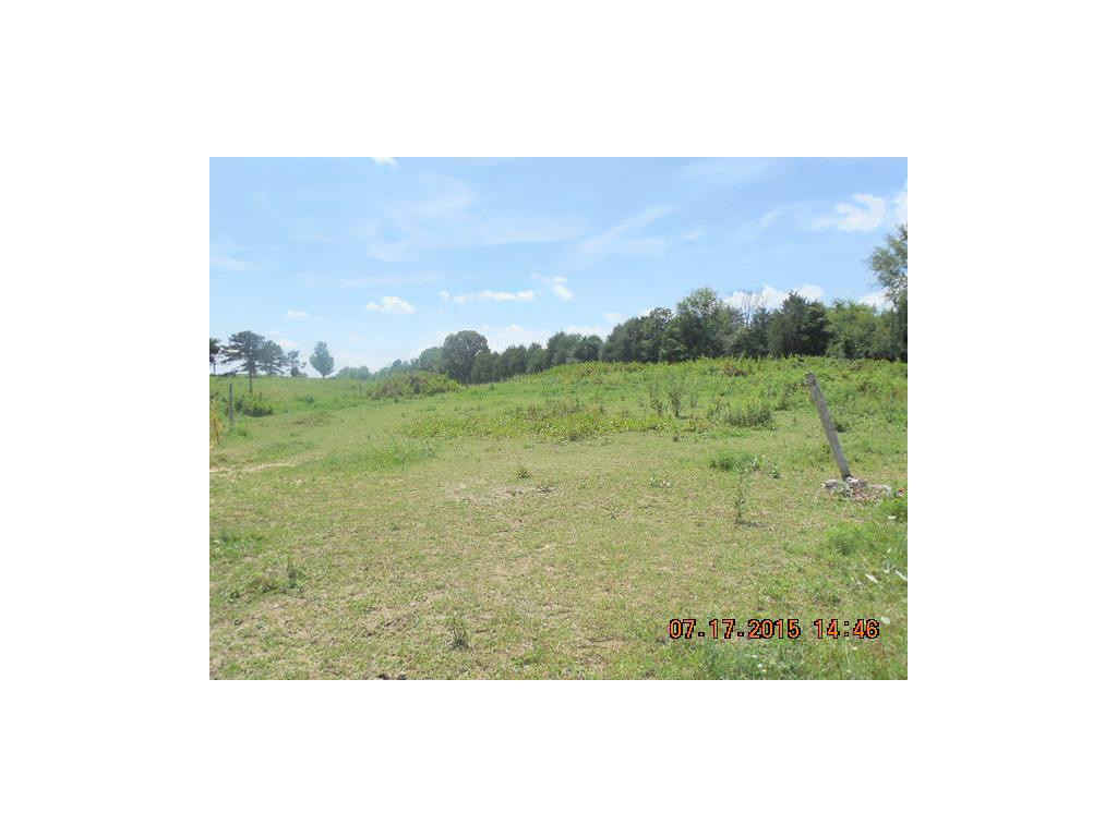 1753 Millers Chapel Road Greeneville, TN 37745 - Photo 9 of 11 Photo 9
