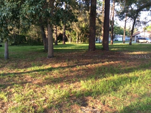 a view of a yard with tree s