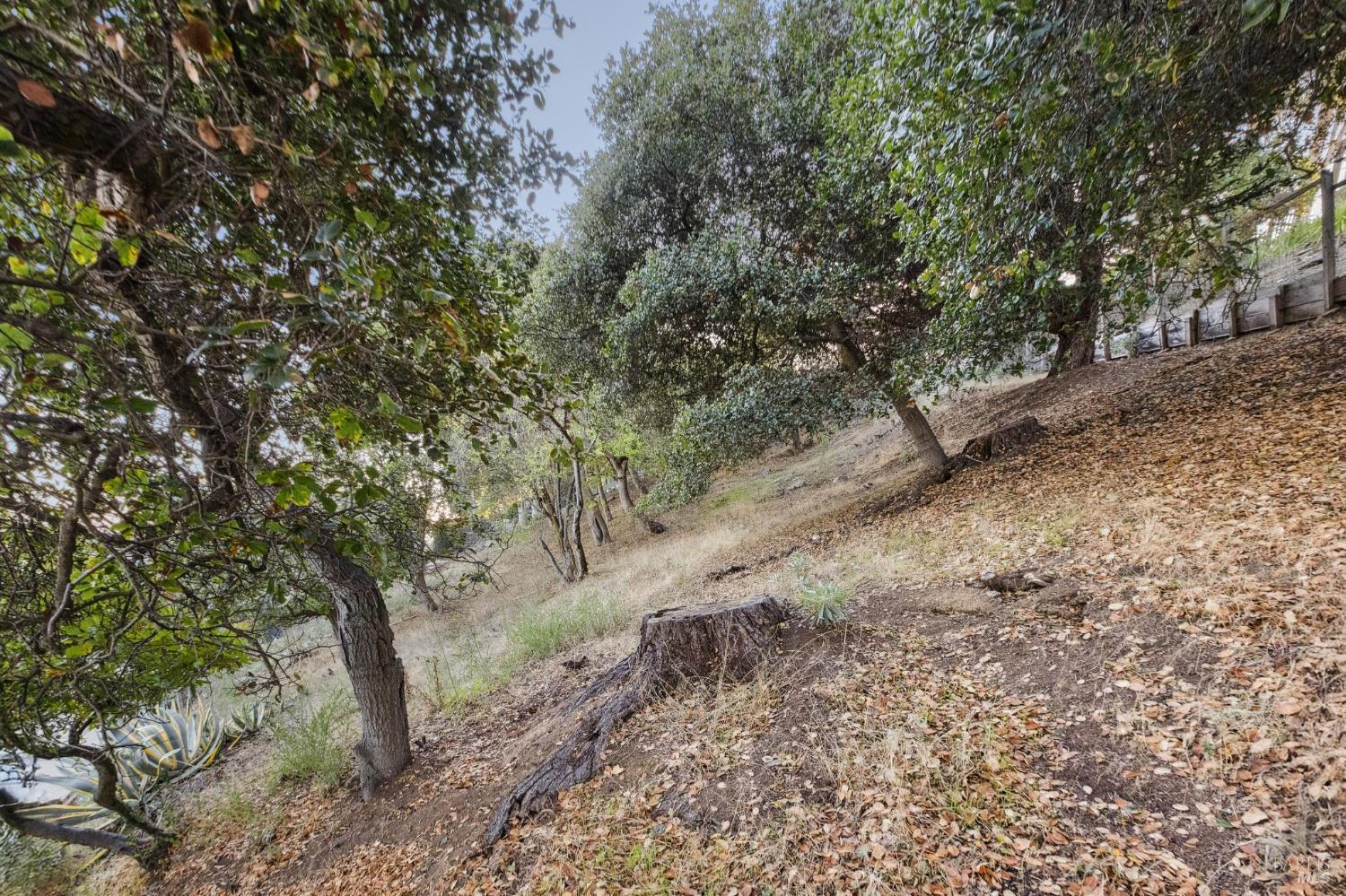0 Tower Point Lane Tiburon, CA 94920 - Photo 25 of 28