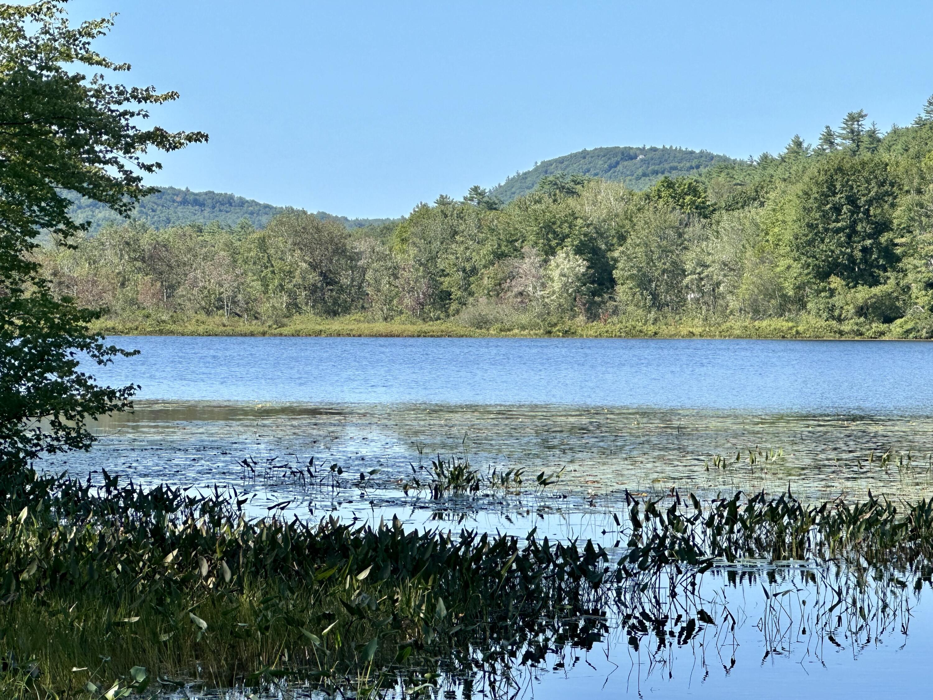 13 Endfield Street Porter, ME 04068 - Photo 12 of 13 IMG_6576