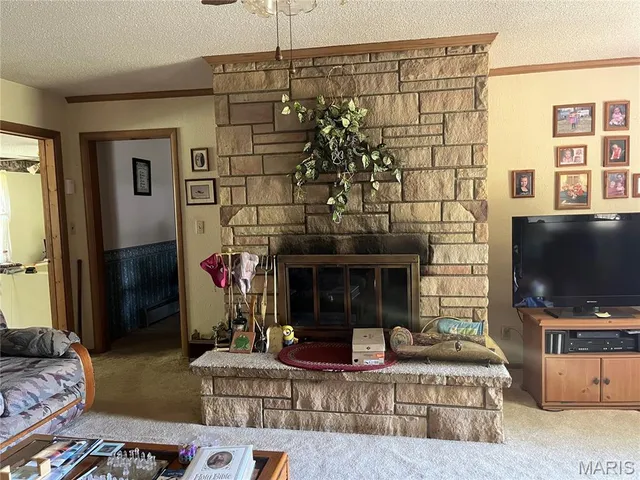 $270,000 | 87 County Road 11, Pilot Knob, MO 63663