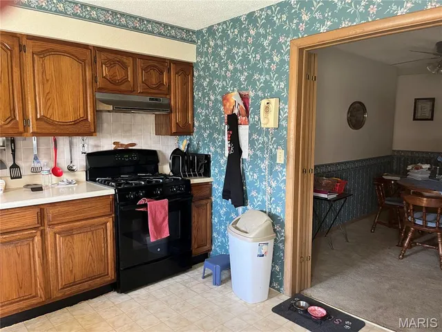 $270,000 | 87 County Road 11, Pilot Knob, MO 63663