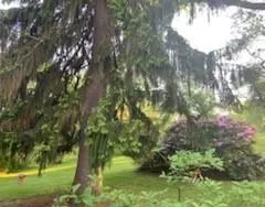 $2,500 | 3326 Hills Church Road, Export, PA 15632