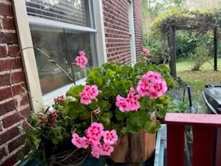 $2,500 | 3326 Hills Church Road, Export, PA 15632