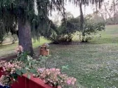 $2,500 | 3326 Hills Church Road, Export, PA 15632