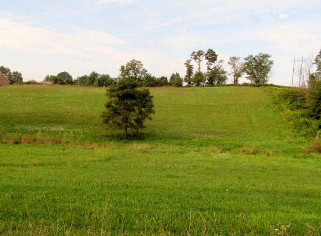 0 Shavers Farm Road Troutville, VA 24175 - Photo 1 of 2 Shavers Farm Road