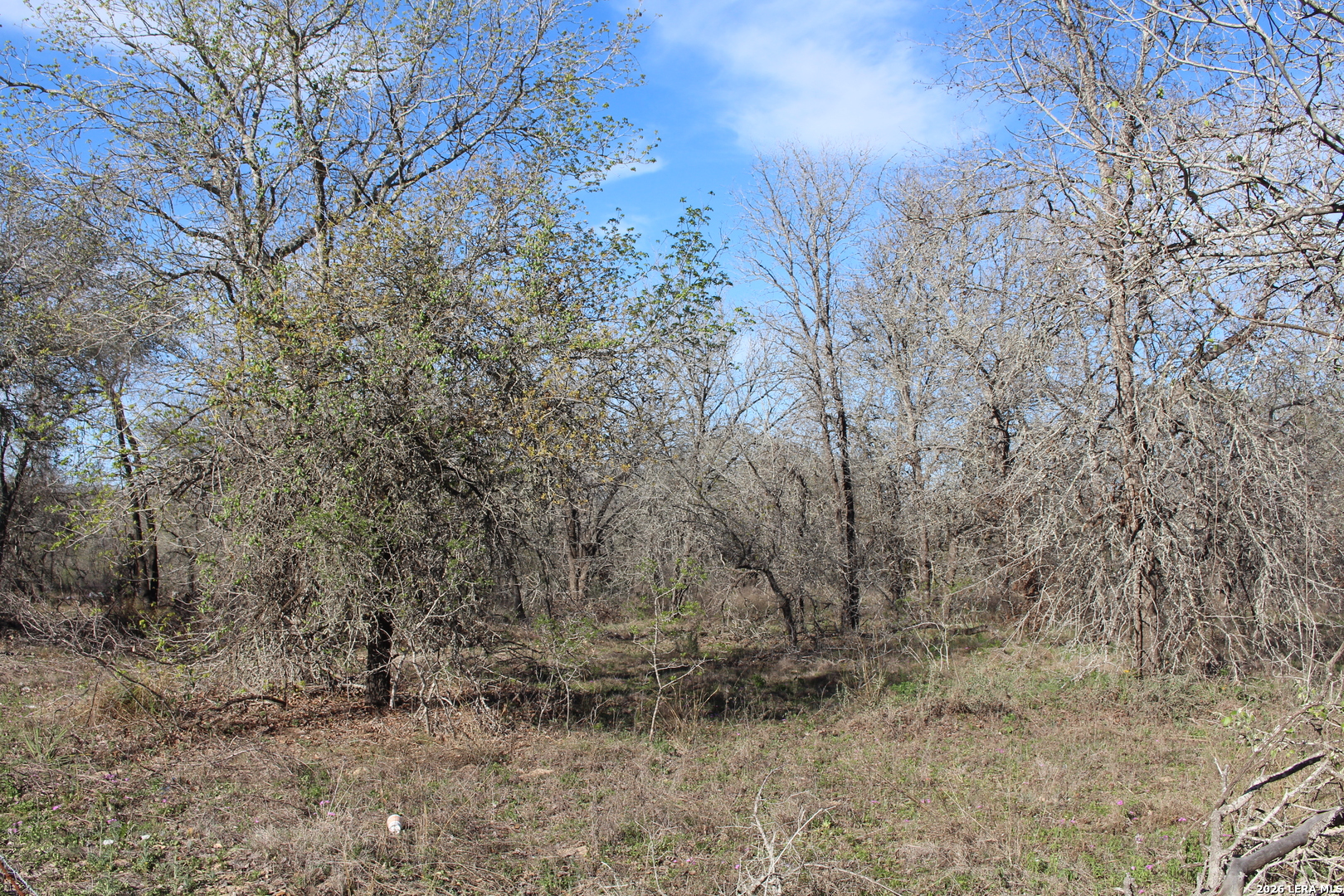 -tbd Mathis Elmendorf, TX 78112 - Photo 2 of 4