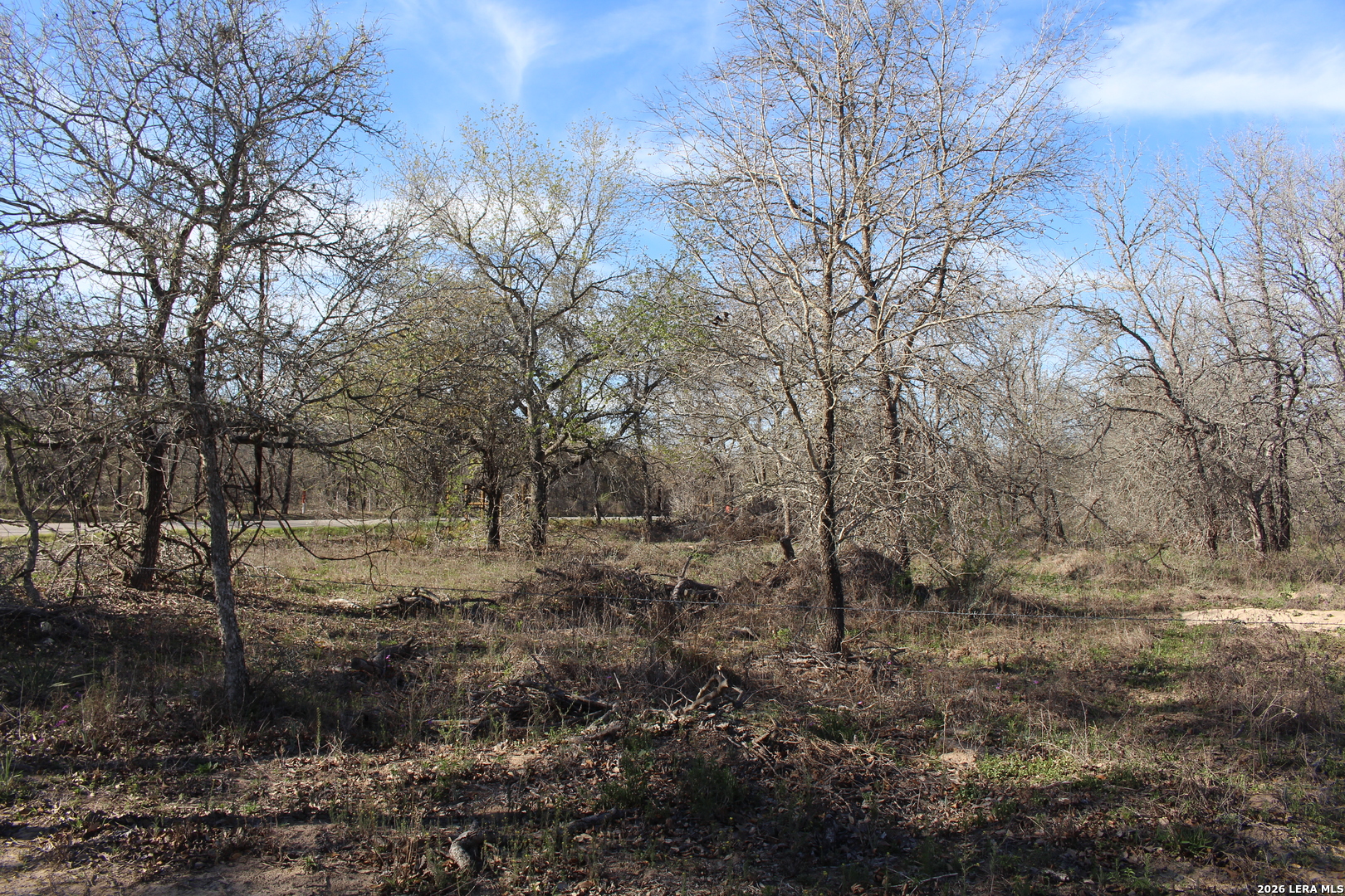 -tbd Mathis Elmendorf, TX 78112 - Photo 4 of 4