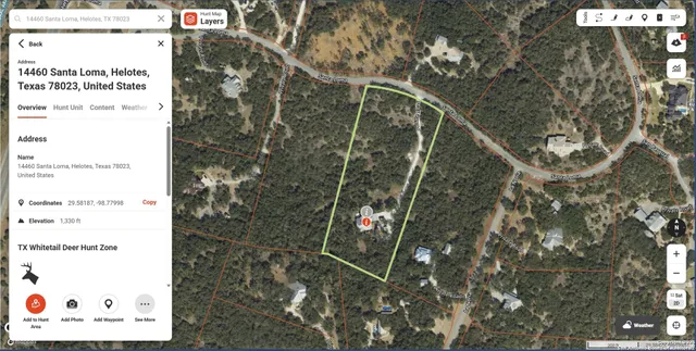 a view of a city with green space