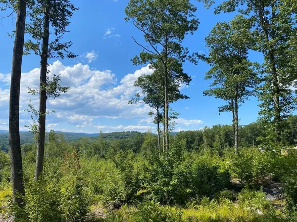 $118,900 | Lot 17 Birch Circle, Harrison, ME 04040