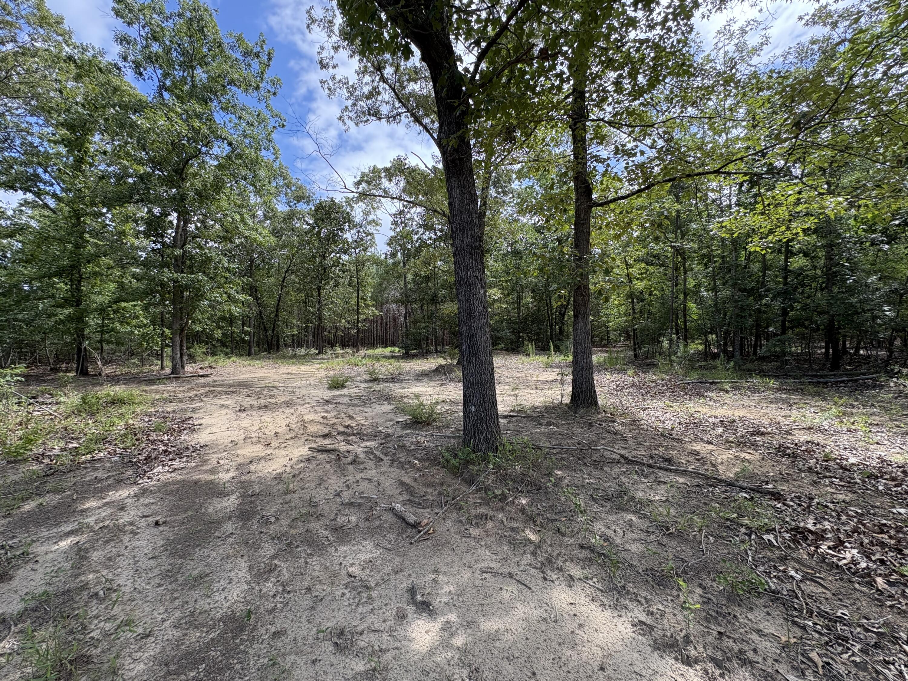 520 Springvale Road Bishopville, SC 29010 - Photo 12 of 31