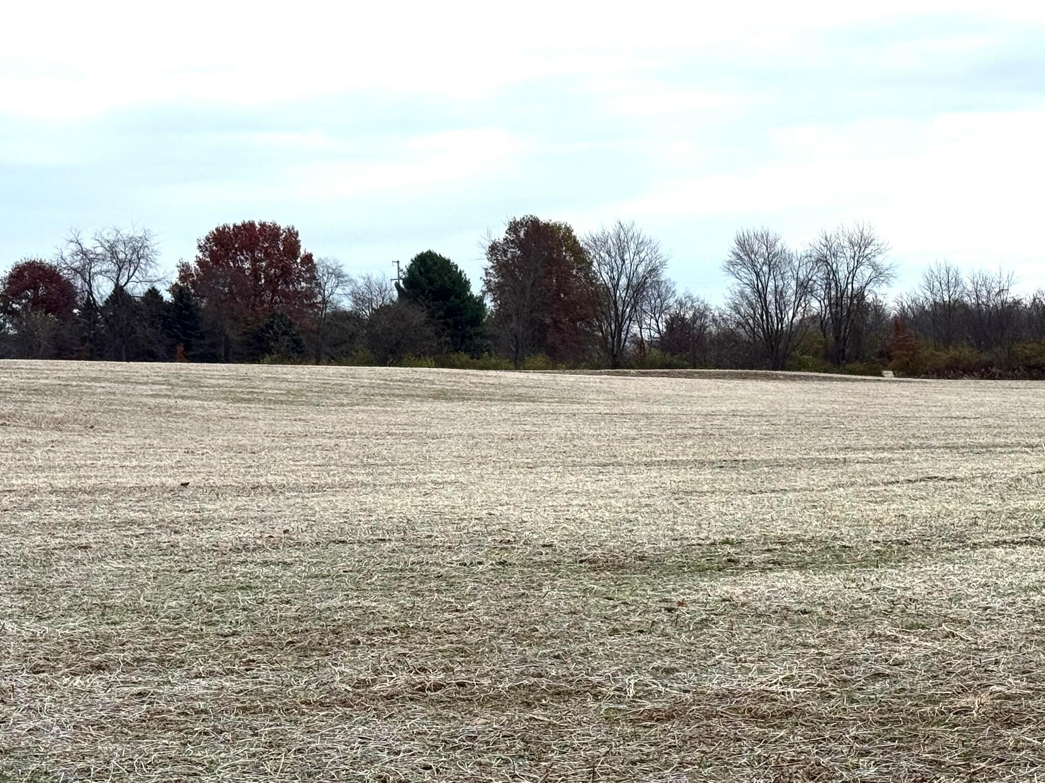 6433 Lithopolis Road Groveport, OH 43125 - Photo 6 of 12 Land