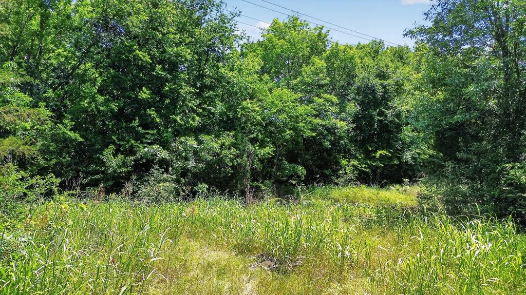 613 Main Street Quinlan, TX 75474 - Photo 15 of 16 Expansive natural landscape with mature trees and varied foliage
