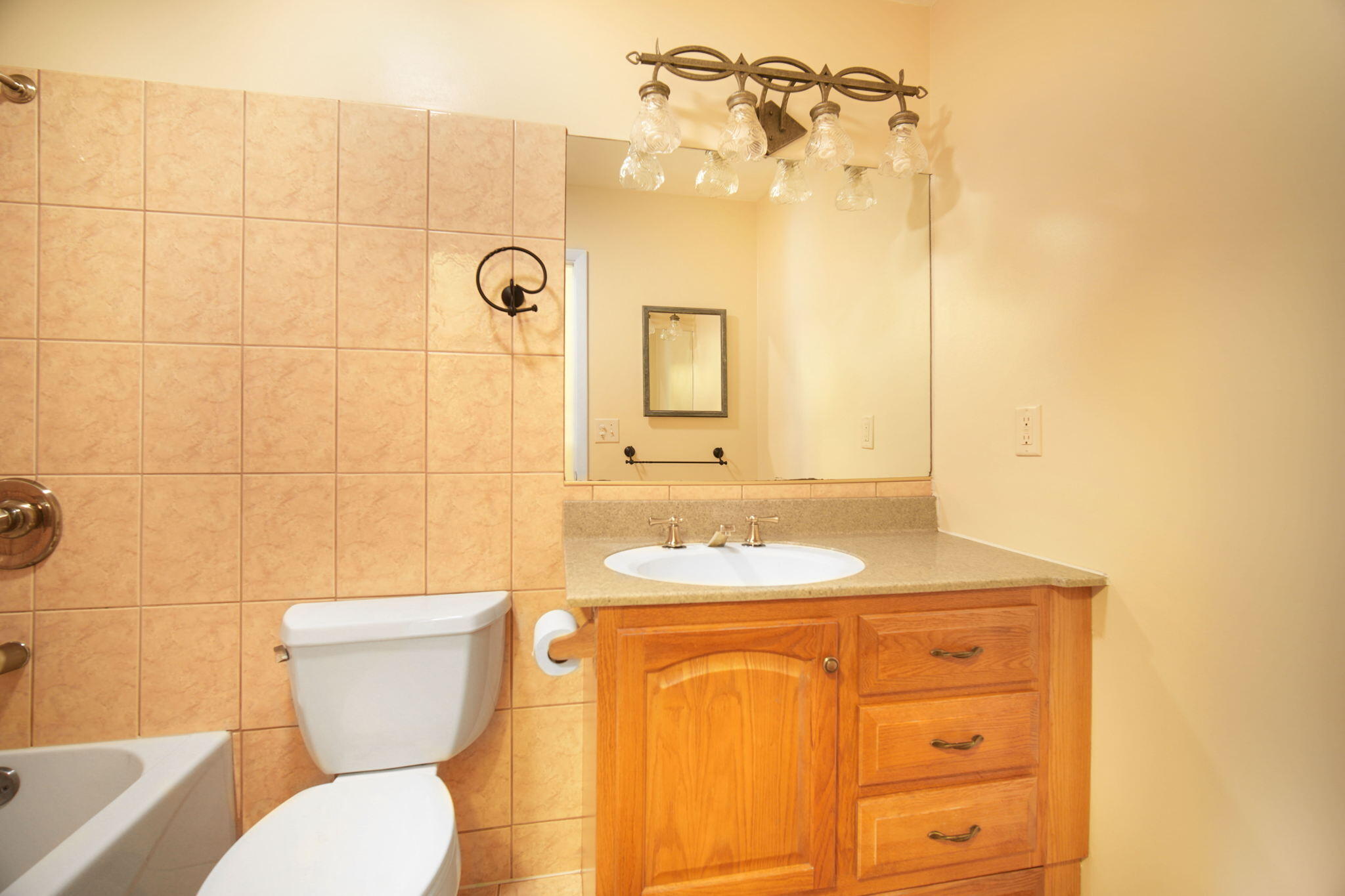 6702 Range Road Jackson, MI 49201 - Photo 15 of 42 DSC03915