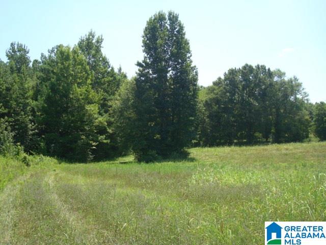 0 Dabbs Road, Unit 19 & 20 Oxford, AL 36203 - Photo 14 of 33