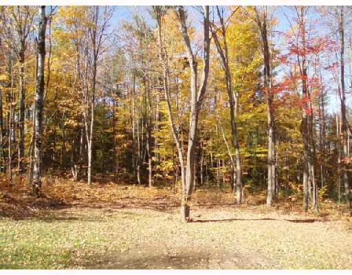 Lot 2 Ridge Road Bethel, ME 04217 - Photo 2 of 14 Land/Lot.