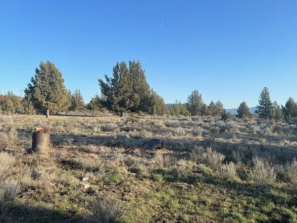 $8,000 | 46038 Deer Springs Road, Unit LOT 4, Beatty, OR 97621